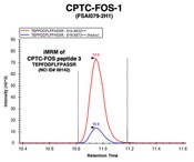 Immuno-MRM chromatogram of DSHB antibody CPTC-FOS-1 with FOS peptide 3 as target. Image credit: Clinical Proteomics Technologies for Cancer